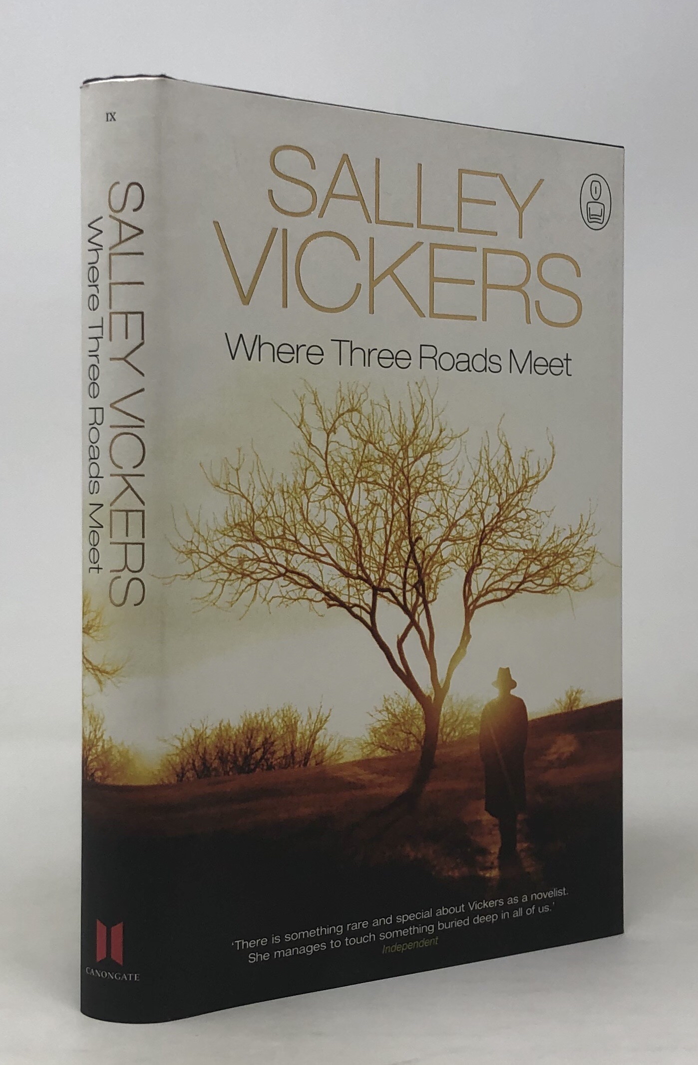 Instances of the Number 3 by Salley Vickers